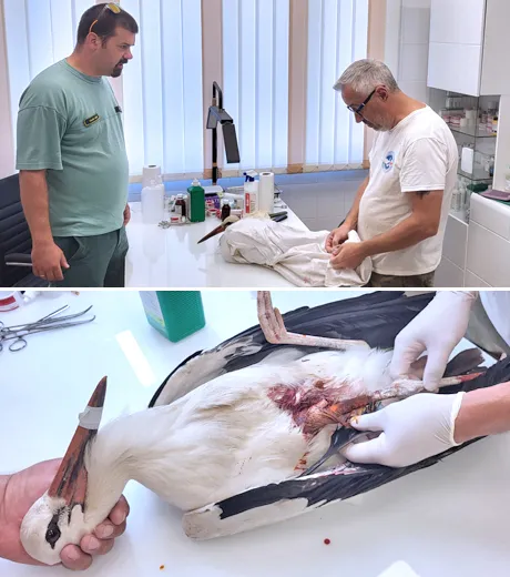 Beszállítás és állpotfelmérés - Mályi Természetvédelmi Egyesület