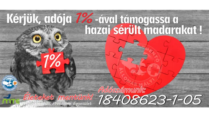 Támogatása fontos számunkra - Mályi Természetvédelmi Egyesület